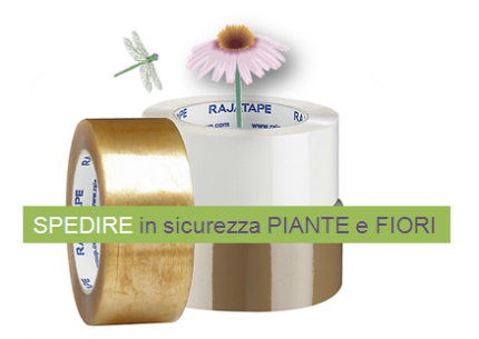 Come spedire in sicurezza le tue piante e i tuoi fiori